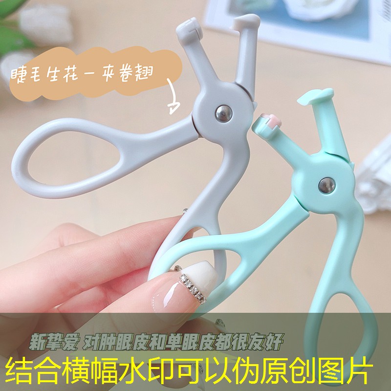 台州园艺绿化工程有限公司 台州园艺绿化工程有限公司