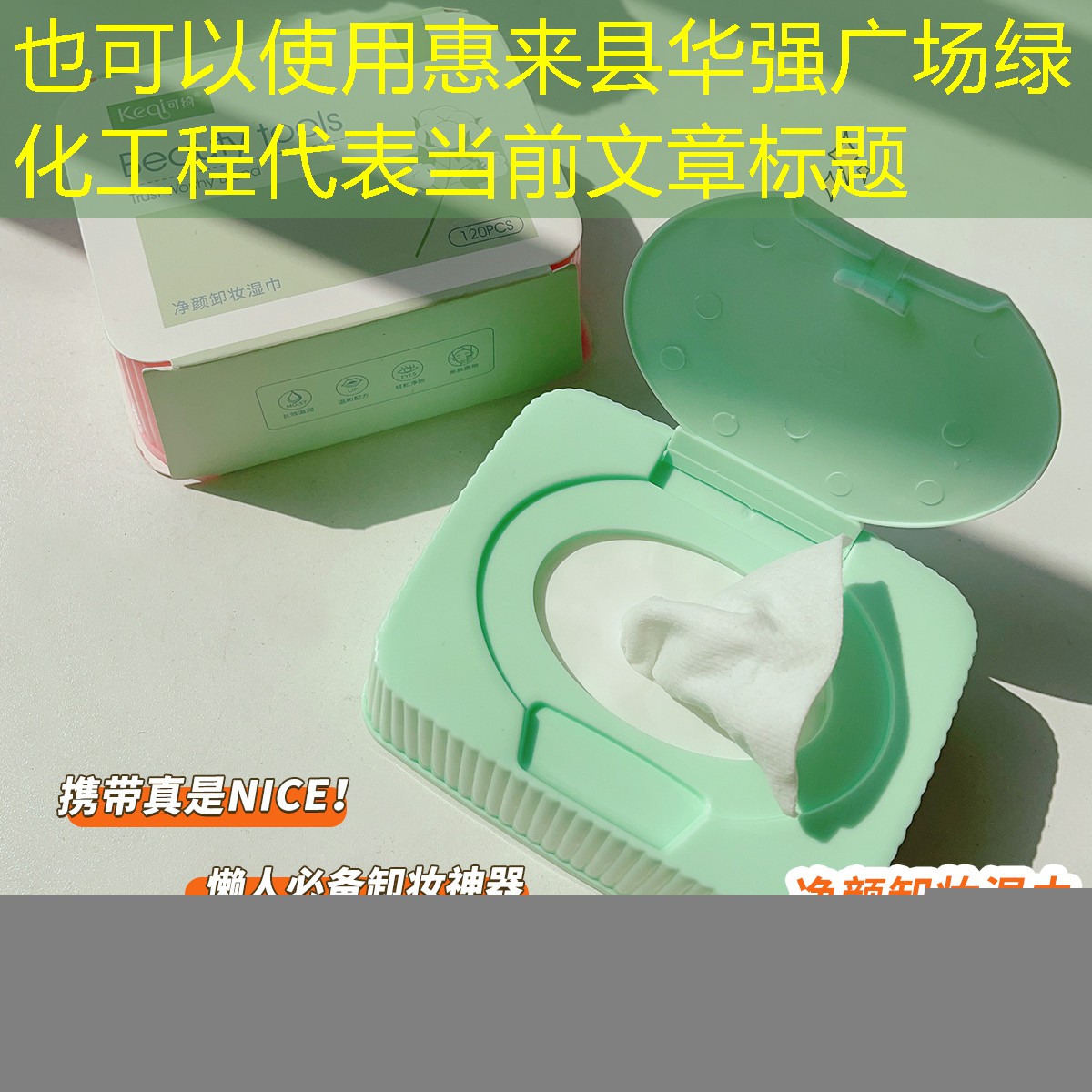 惠来县华强广场绿化工程